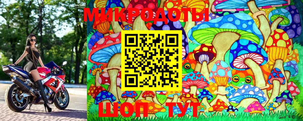 Псилоцибиновые грибы Cubensis  Вход с VPN  Ейск 